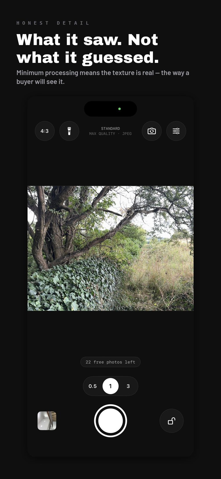Foliage and bark photographed with minimum processing, so the texture is real rather than reconstructed